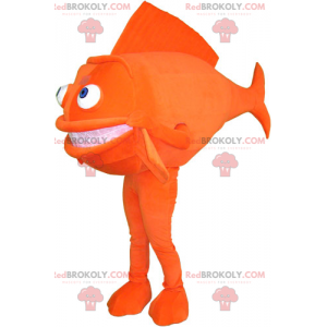 Mascotte di pesce arancione - Redbrokoly.com