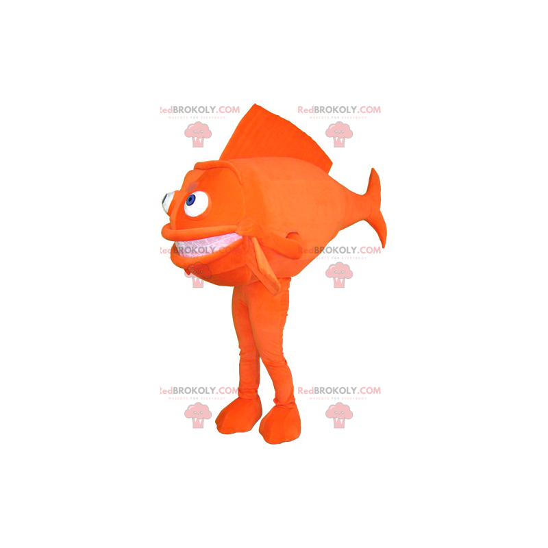 Mascota de pescado naranja - Redbrokoly.com