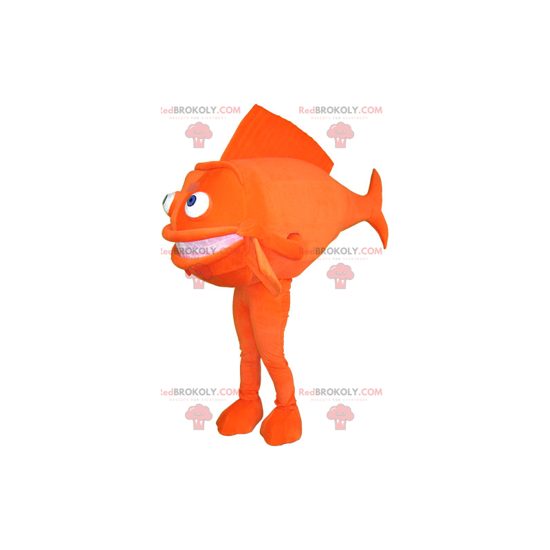 Mascote peixe laranja - Redbrokoly.com