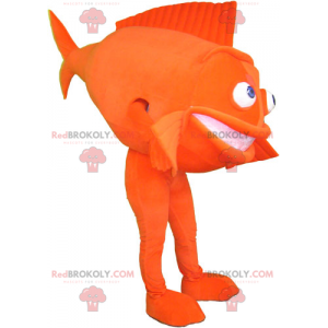 Mascote peixe laranja - Redbrokoly.com