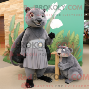 Gray Jaguarundi mascot...