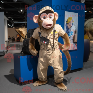Krem Capuchin Monkey...