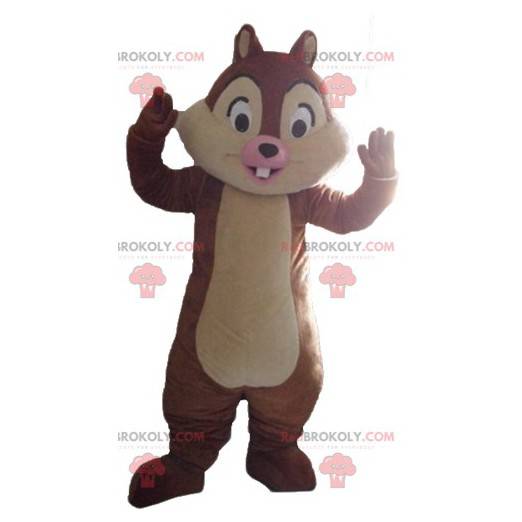 Mascotte de Tic ou Tac célèbre écureuil de dessin animé -