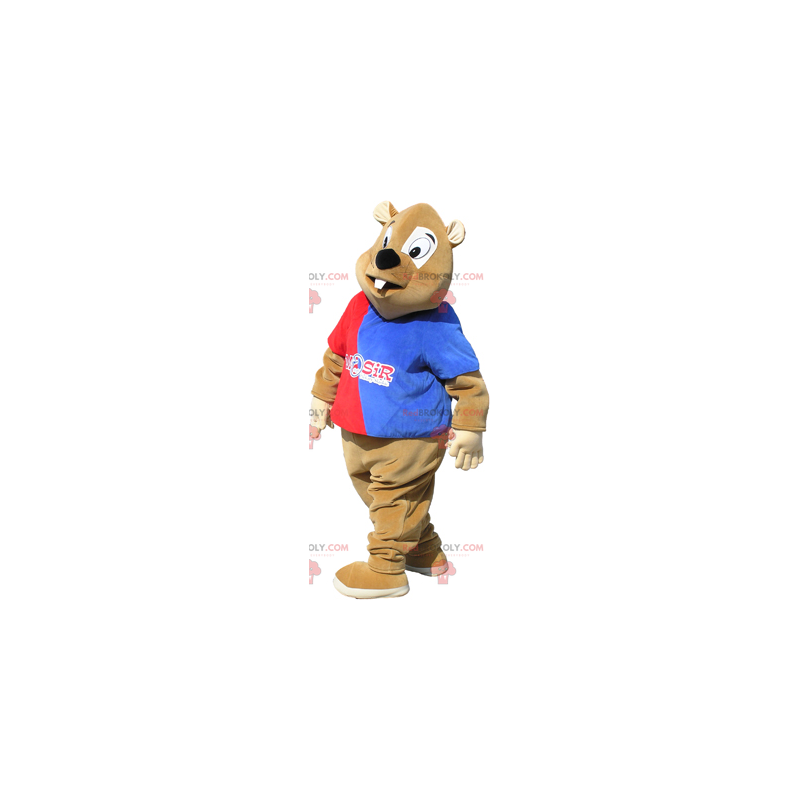 Sun mascot in sportswear - Redbrokoly.com