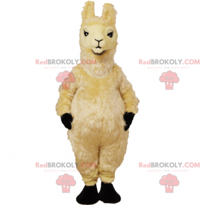 Sonnenmaskottchen in Sportbekleidung - Redbrokoly.com