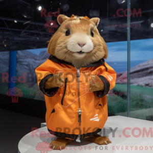 Costume mascotte de cochon...