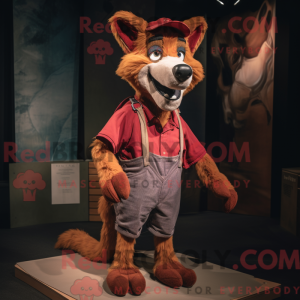 Maroon Dingo...