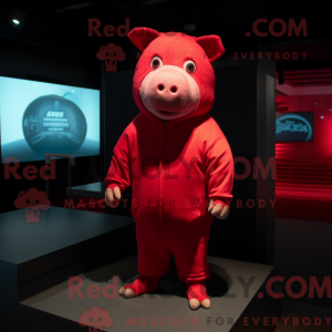 Red Pig maskot kostume...