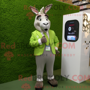 Olive Donkey mascot costume...
