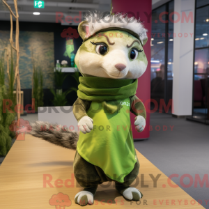 Olive Ferret...