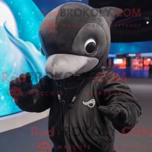 Black Dolphin maskot...