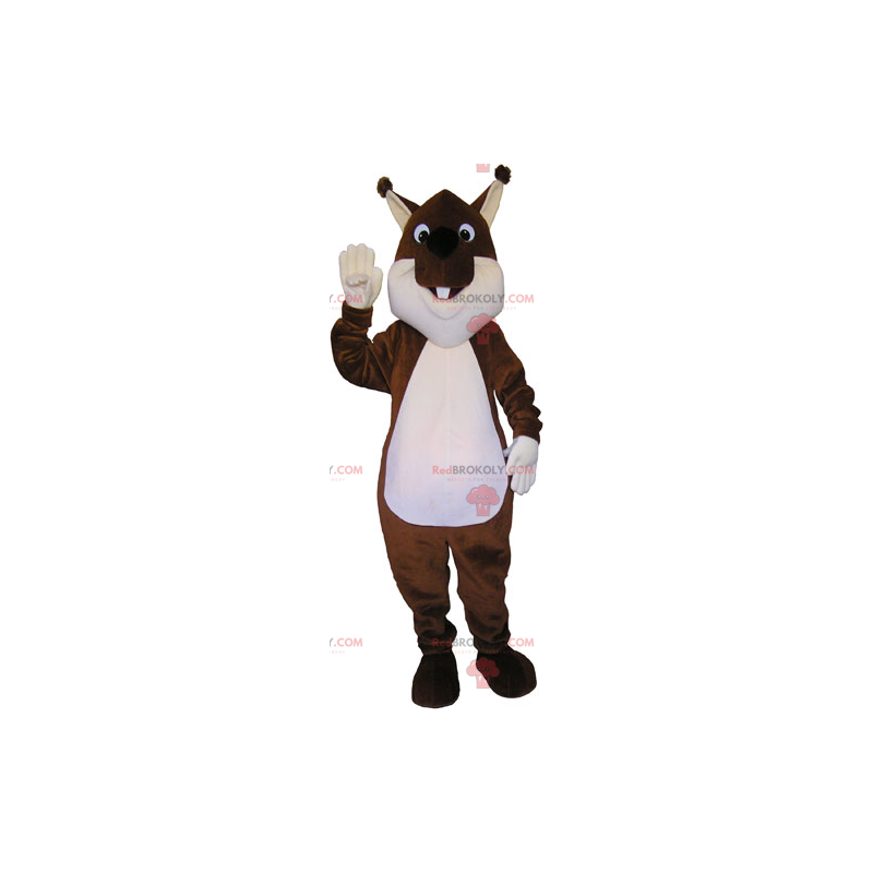 Brown squirrel mascot - Redbrokoly.com