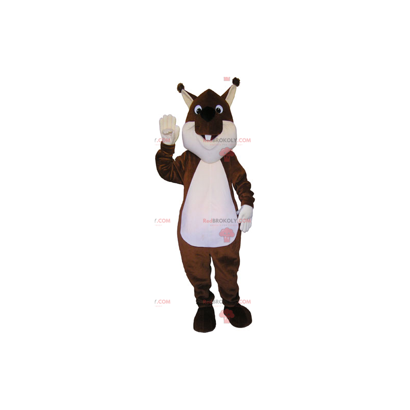 Brun ekorn maskot - Redbrokoly.com