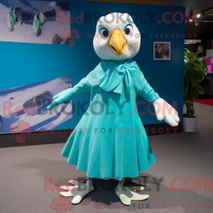 Turkis Albatross...