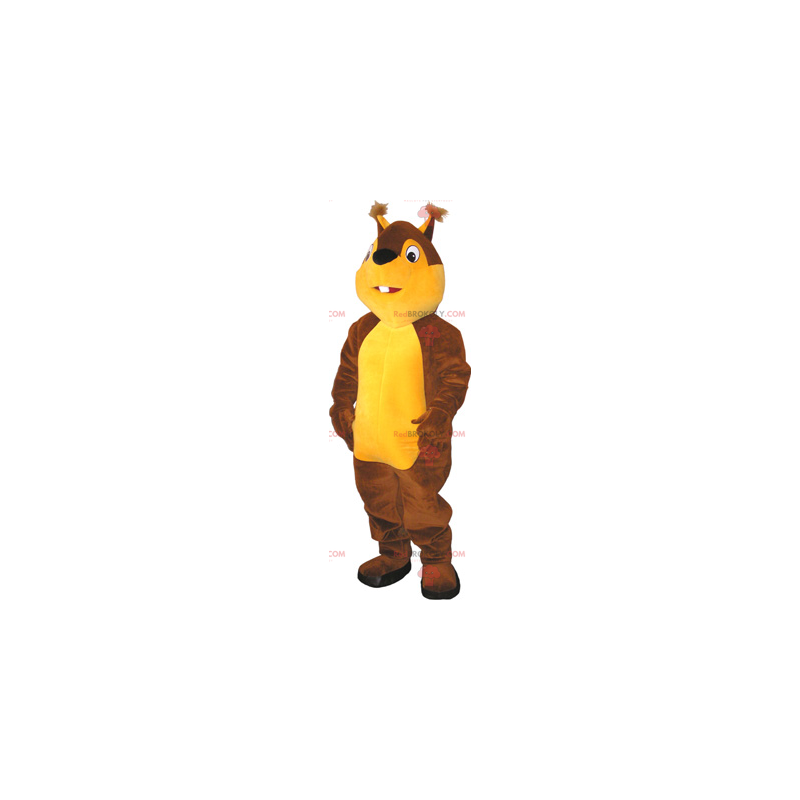 Mascota de ardilla de dos tonos - Redbrokoly.com