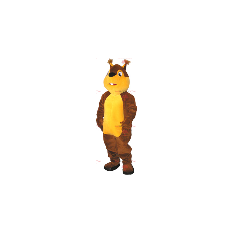 Two-tone squirrel mascot - Redbrokoly.com