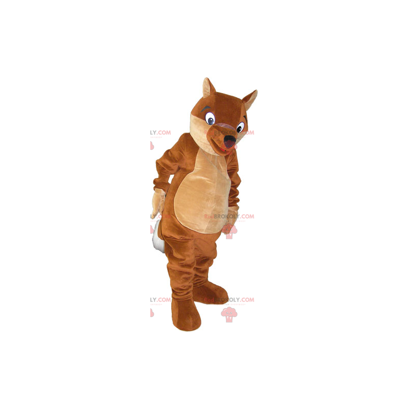 Mascota de la ardilla marrón - Redbrokoly.com
