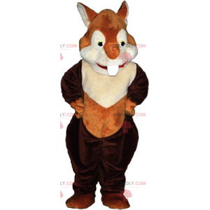 Mascota de la ardilla roja - Redbrokoly.com