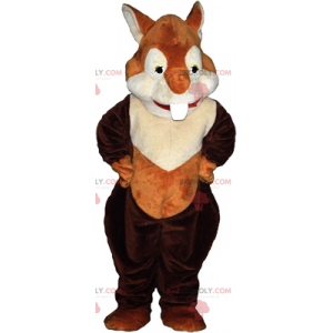 Mascotte d'écureuil roux - Redbrokoly.com