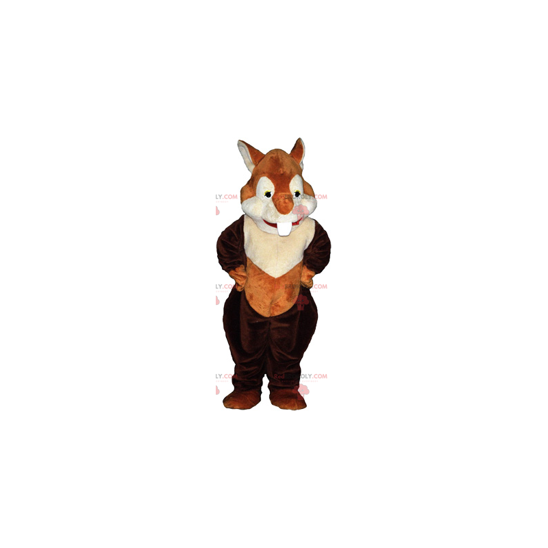 Rød ekorn maskot - Redbrokoly.com Rød ekorn maskot - Redbrokoly.com