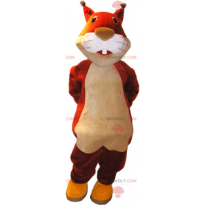 Rotes Eichhörnchen Maskottchen - Redbrokoly.com