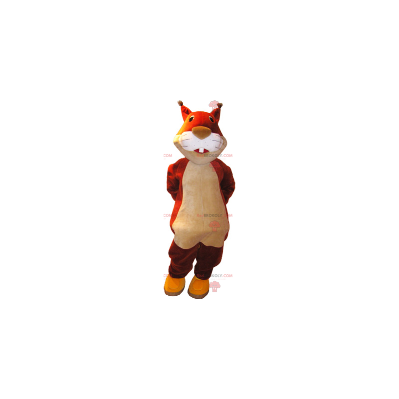 Mascote esquilo vermelho - Redbrokoly.com