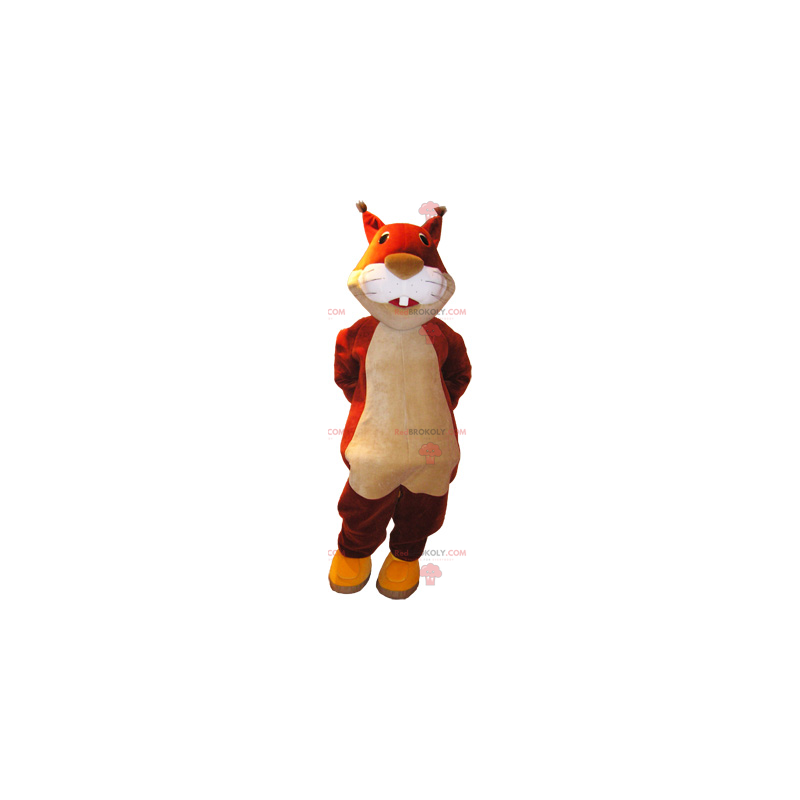 Mascotte d'écureuil roux - Redbrokoly.com