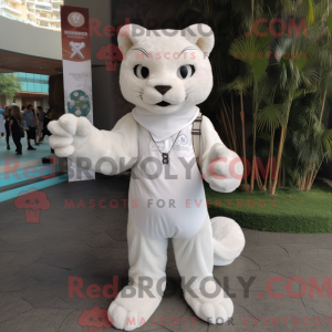 White Jaguarundi mascot...