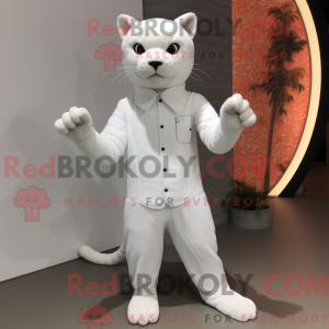Hvid Jaguarundi maskot...
