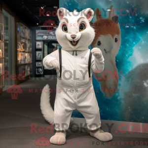 Mascotte d écureuil volant...