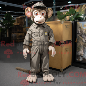 Gray Monkey...
