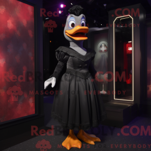 Black Muscovy Duck...