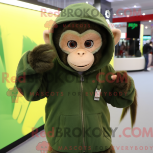Grøn Capuchin Monkey maskot...