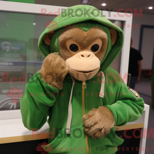 Grønn Capuchin Monkey...