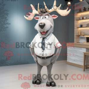 Zilvereland-mascottekostuum...