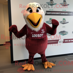Maroon Gull...