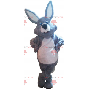 Mascota del conejo gris - Redbrokoly.com