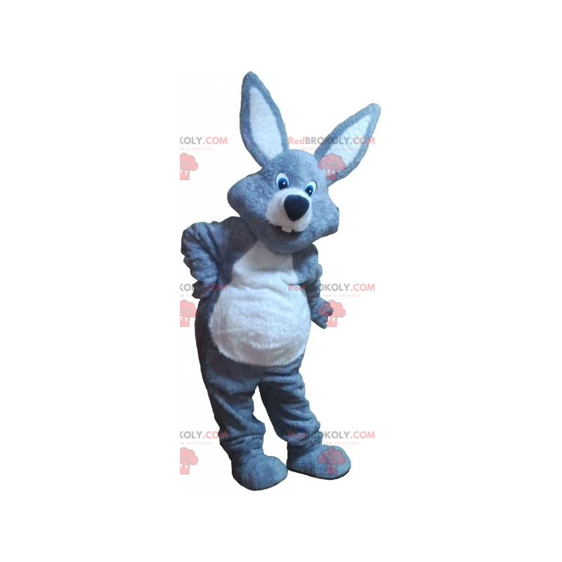 Mascota del conejo gris - Redbrokoly.com