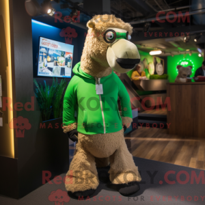 Costume mascotte de chameau...