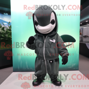 Olive Killer Whale...