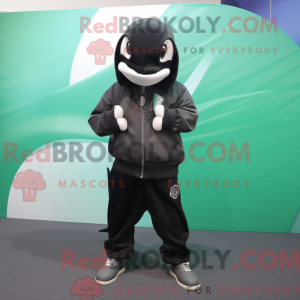 Olive Killer Whale maskot...