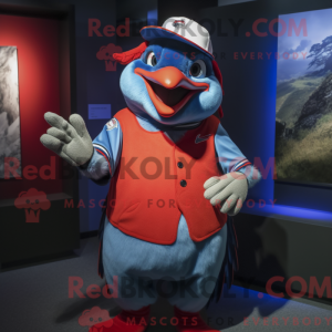Red Blue Jay Maskottchen...