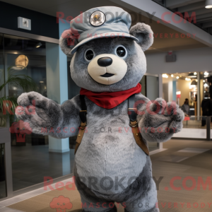 Grijze beer mascotte...