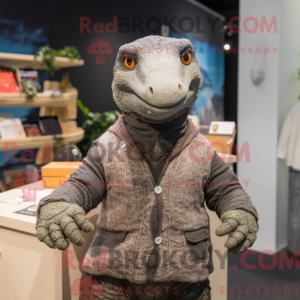 Costume mascotte de dragon...