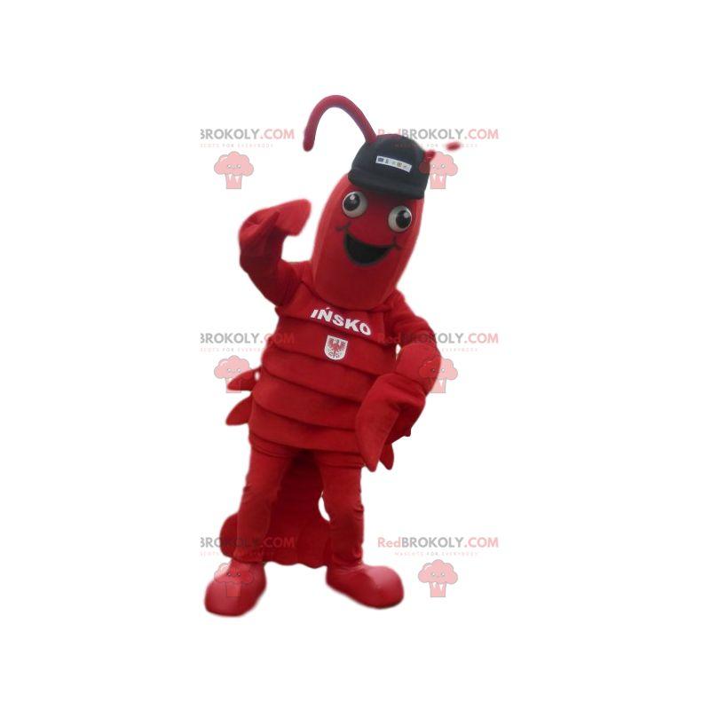 Kreeft mascotte met zwarte dop Kreeft mascotte met zwarte dop