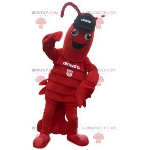 Lobster mascot with black cap