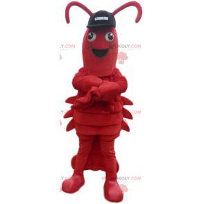 Lobster mascot with black cap