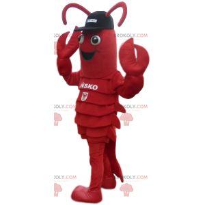 Mascotte de homard avec casquette noire