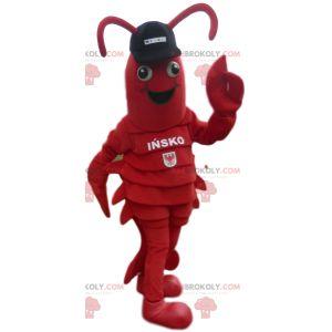 Lobster mascot with black cap