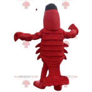 Lobster mascot with black cap